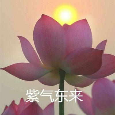 果盘校花梦工厂宅男福利版下载